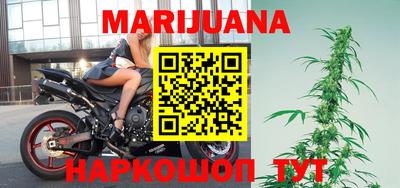 spice Новозыбков