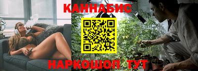 spice Новозыбков