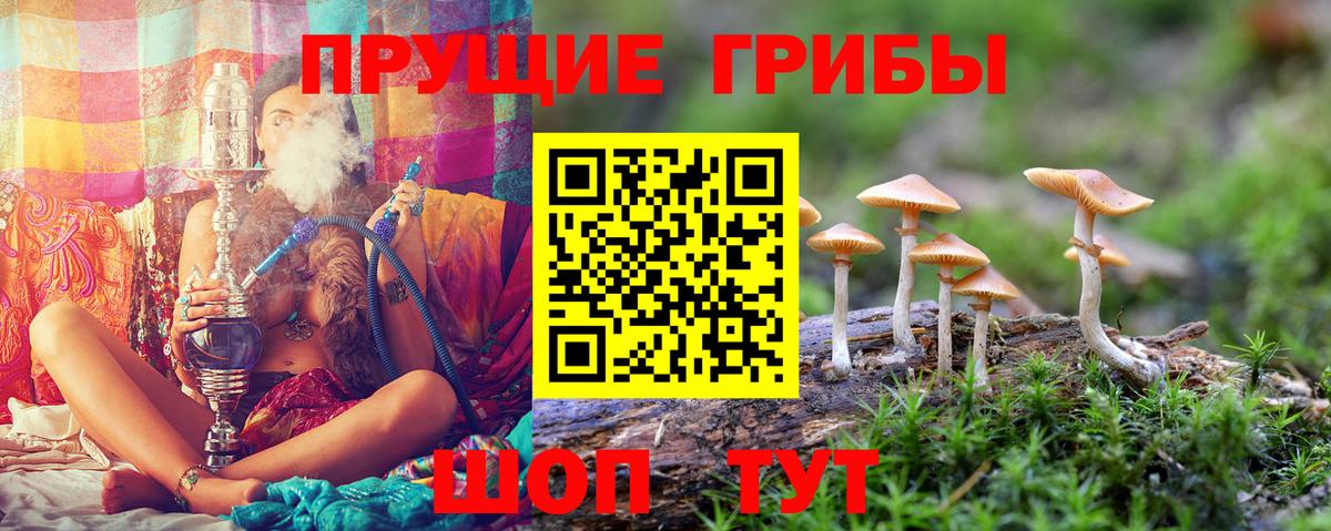 Псилоцибиновые грибы ЛСД Ступино