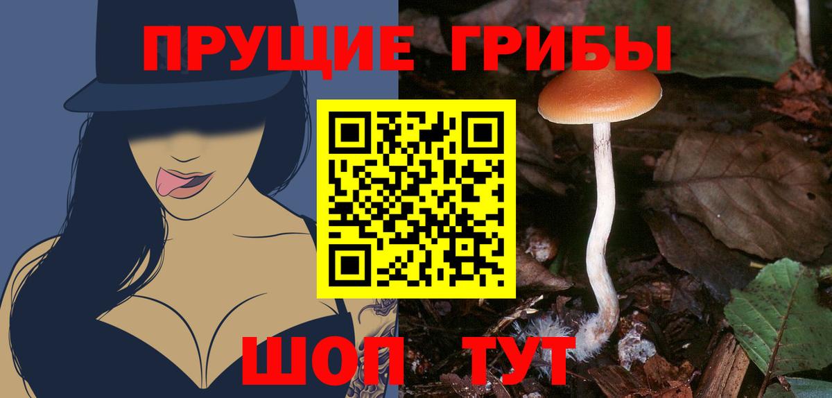 LSD-25 Ступино